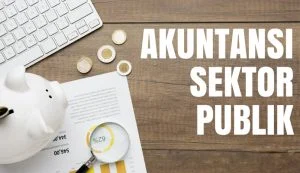 sektor-publik-300x173